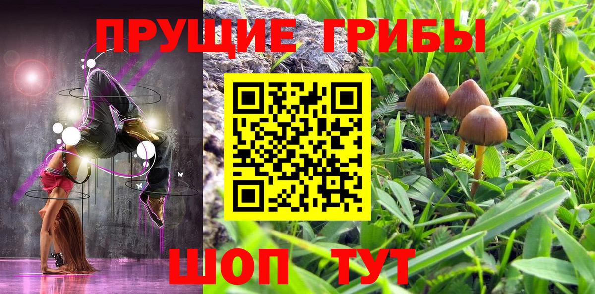Галлюциногенные грибы ЛСД  Вход с VPN  Арсеньев  Галлюциногенные грибы GOLDEN TEACHER 