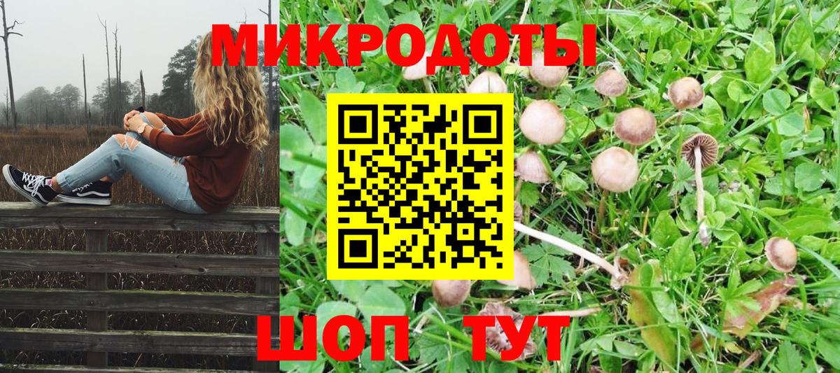 Галлюциногенные грибы Psilocybine cubensis Арсеньев